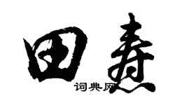 胡問遂田燾行書個性簽名怎么寫