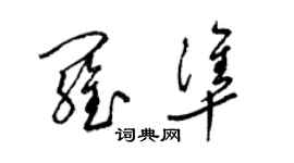 梁錦英羅準草書個性簽名怎么寫