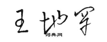 駱恆光王地罕草書個性簽名怎么寫