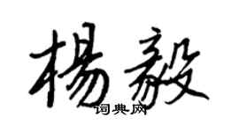 王正良楊毅行書個性簽名怎么寫
