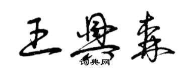 曾慶福王興森草書個性簽名怎么寫