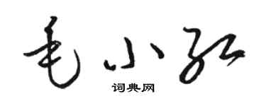 駱恆光毛小紅草書個性簽名怎么寫