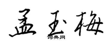 王正良孟玉梅行書個性簽名怎么寫