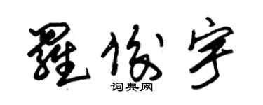 朱錫榮羅俊宇草書個性簽名怎么寫