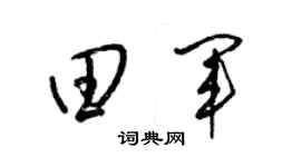 梁錦英田軍草書個性簽名怎么寫