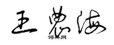 曾慶福王農海草書個性簽名怎么寫