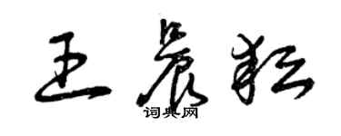 曾慶福王晨耘草書個性簽名怎么寫