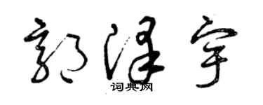 曾慶福郭澤宇草書個性簽名怎么寫