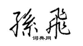 王正良孫飛行書個性簽名怎么寫