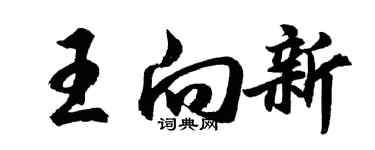 胡問遂王向新行書個性簽名怎么寫