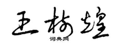 曾慶福王樹煌草書個性簽名怎么寫