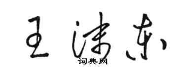 駱恆光王沫東草書個性簽名怎么寫