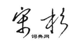 駱恆光宋杉草書個性簽名怎么寫