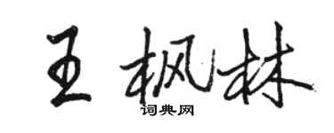 駱恆光王楓林行書個性簽名怎么寫