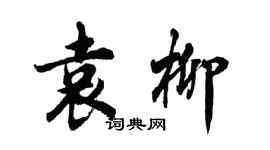 胡問遂袁柳行書個性簽名怎么寫