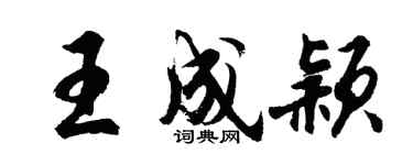 胡問遂王成穎行書個性簽名怎么寫