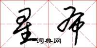 朱錫榮星布草書怎么寫