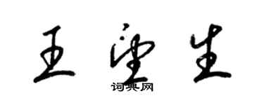 梁錦英王望生草書個性簽名怎么寫