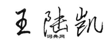 駱恆光王陸凱行書個性簽名怎么寫