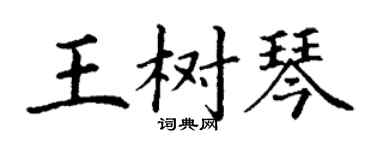 丁謙王樹琴楷書個性簽名怎么寫