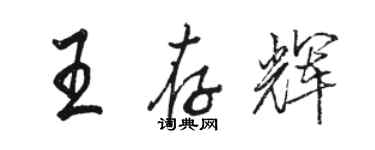 駱恆光王存輝行書個性簽名怎么寫