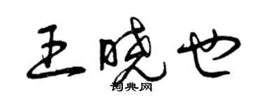 曾慶福王曉也草書個性簽名怎么寫