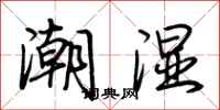 荊霄鵬潮濕行書怎么寫