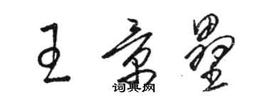 駱恆光王景壘草書個性簽名怎么寫