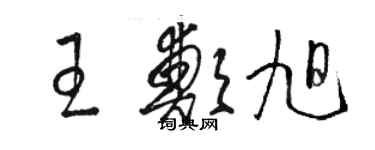 駱恆光王鄭旭草書個性簽名怎么寫