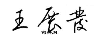 梁錦英王展發草書個性簽名怎么寫