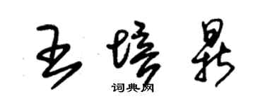 朱錫榮王培鼎草書個性簽名怎么寫