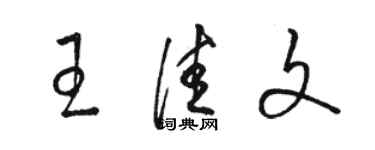 駱恆光王佳文草書個性簽名怎么寫