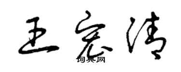 曾慶福王宏清草書個性簽名怎么寫