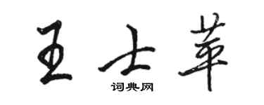 駱恆光王士苹行書個性簽名怎么寫