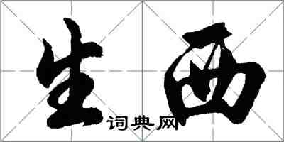 胡問遂生西行書怎么寫