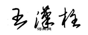 朱錫榮王漢柱草書個性簽名怎么寫