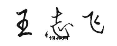 駱恆光王志飛行書個性簽名怎么寫