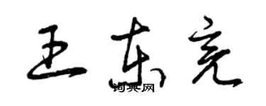 曾慶福王東亮草書個性簽名怎么寫
