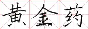 駱恆光黃金藥楷書怎么寫