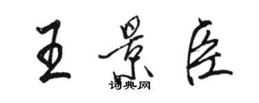 駱恆光王景臣行書個性簽名怎么寫