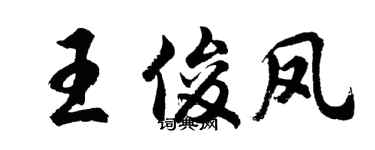 胡問遂王俊鳳行書個性簽名怎么寫