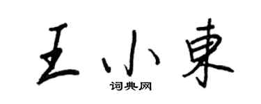 王正良王小東行書個性簽名怎么寫