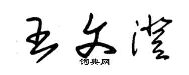 朱錫榮王文澄草書個性簽名怎么寫