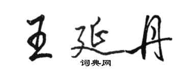 駱恆光王延丹行書個性簽名怎么寫