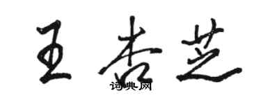 駱恆光王杏芝行書個性簽名怎么寫