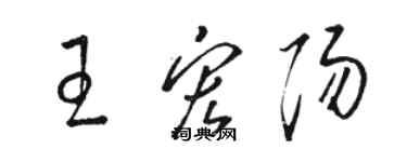 駱恆光王宏陽草書個性簽名怎么寫