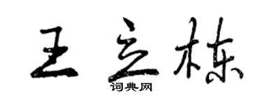 曾慶福王立棟行書個性簽名怎么寫