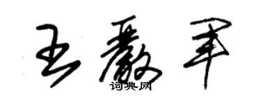 朱錫榮王嚴軍草書個性簽名怎么寫