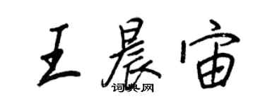 王正良王晨宙行書個性簽名怎么寫