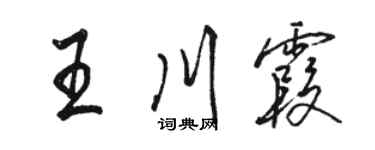 駱恆光王川霞行書個性簽名怎么寫